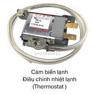 Cảm biến nhiệt độ Thermostat