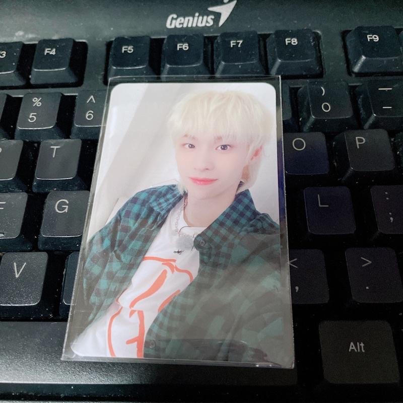 Thẻ ảnh Tempest Bandina 1.0