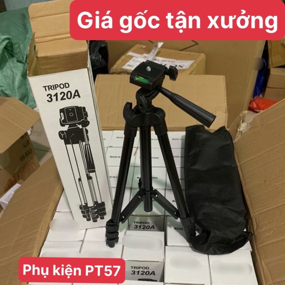 [Sỉ lẻ rẻ vô địch] Gậy 3 Chân Tripod TF 3120 Loại Xịn,Loại Tốt,Top City Chân Chắc Chắn(Tặng Kèm Đầu Kẹp Điện Thoại)