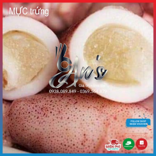 MỰC trứng 1kg, MỰC ống toàn là trứng