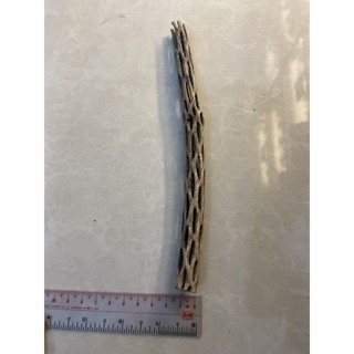 Lũa cholla (lũa xương rồng) cho thú cưng , tép cảnh , thủy sinh