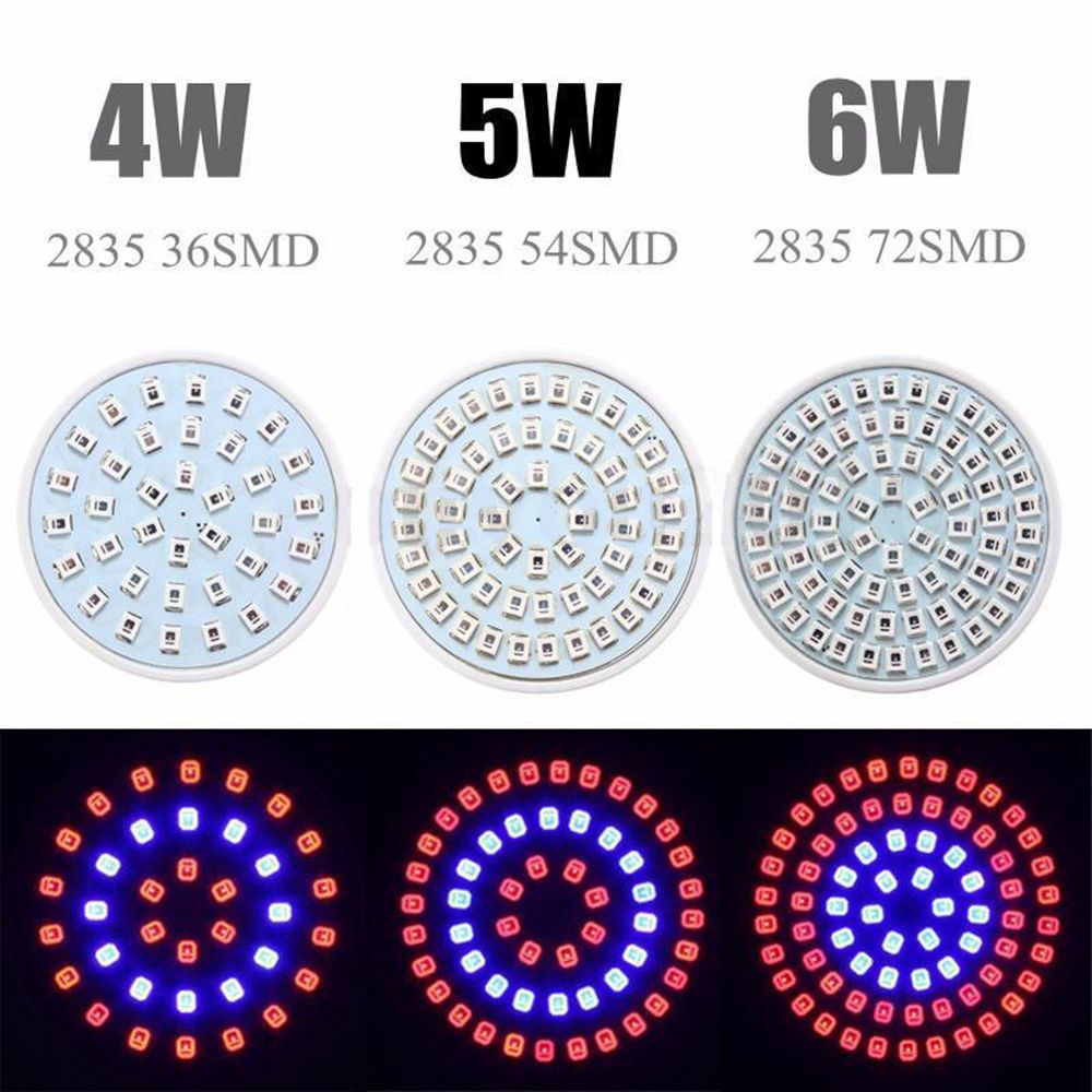 Đèn led trồng cây thủy sinh E27/ GU10/ MR16 72 bóng