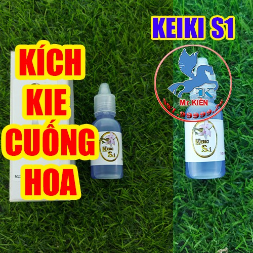 KÍCH KIE CUỐNG HOA PHONG LAN - KEIKI S1