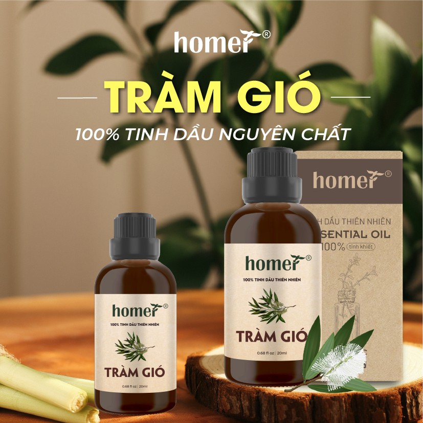 Tinh dầu Tràm Gió Việt Nam Homer 500ML/ 1L - Cajeput Essense Oil - đạt chuẩn chất lượng kiểm định