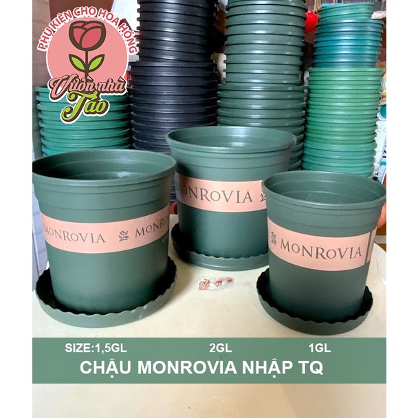 Chậu Monrovia nhập khẩu[ size 1gl-1,5gl-2gl] Kèm đĩa lót