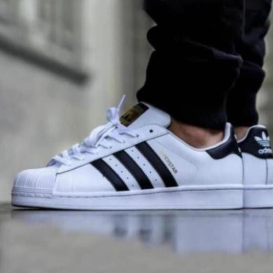 Giày Thể Thao Sneakers Nam Nữ Adidas Vỏ Sò -Ta1