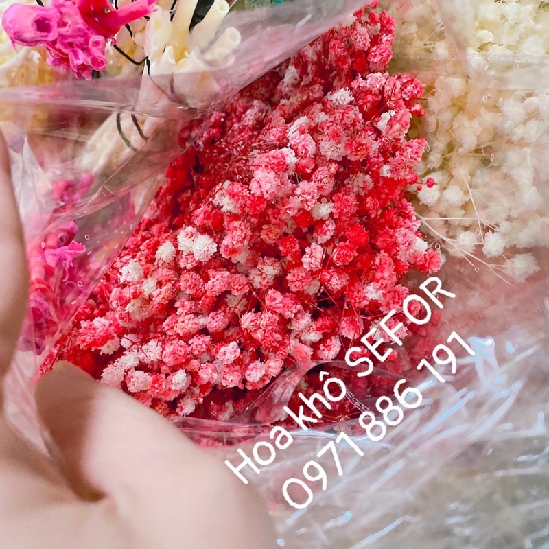 Hoa baby ướp xanh dương❤️FREESHIP❤️ Gypsophila hoa khô trang trí phòng ngủ, làm đồ handmade