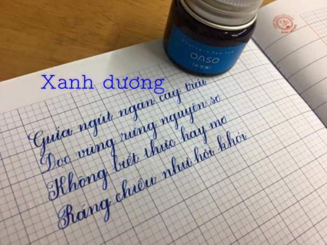 Mực Oaso (lọ 20ml)