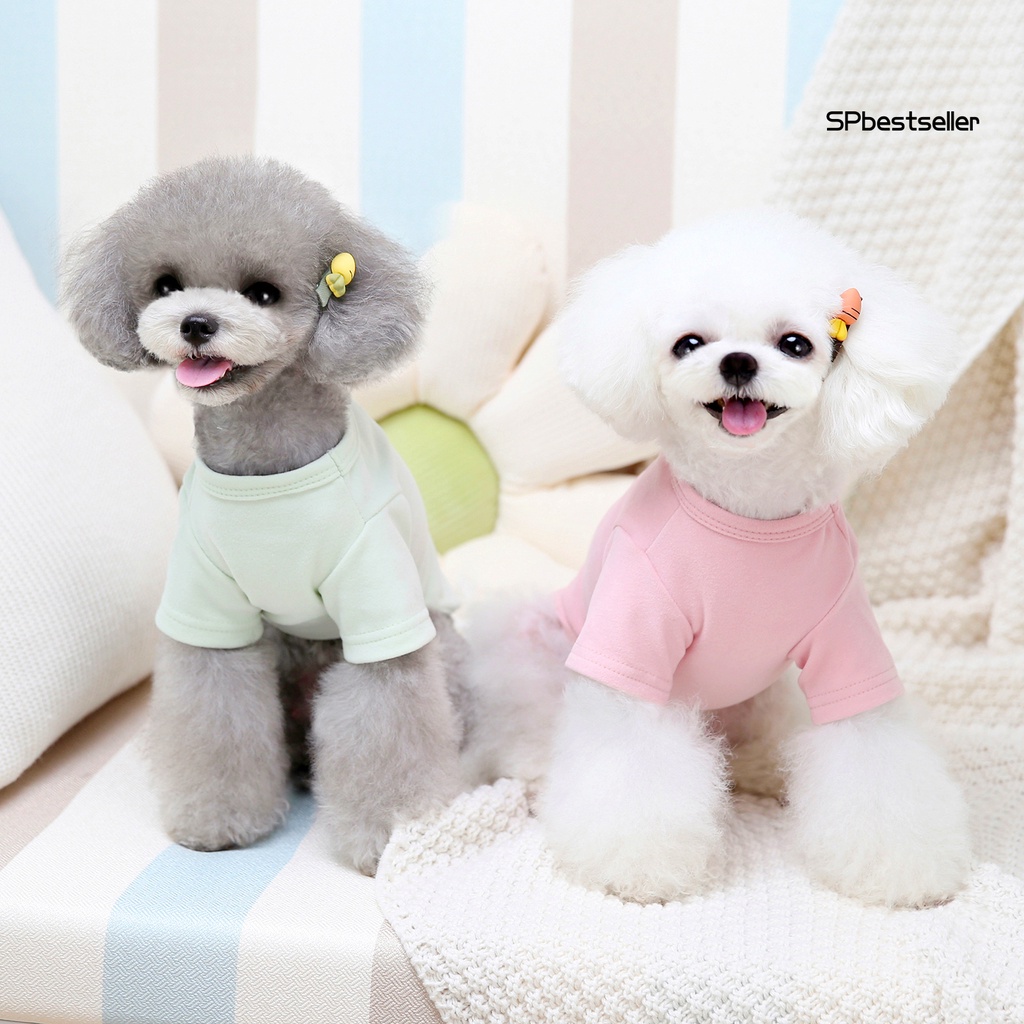 Trang phục hóa trang hình trái cây dễ thương thân thiện với da cho cún cưng