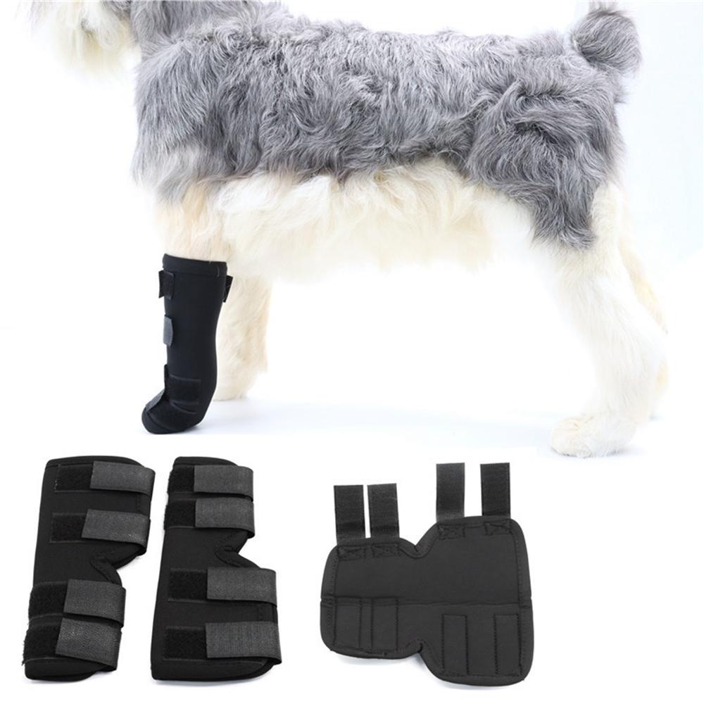 1 Đai Quấn Bảo Vệ Đầu Gối / Cổ Tay / Chân Cho Chó QUENTIN1BG