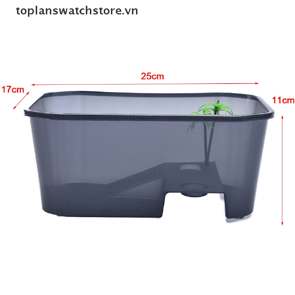 Hộp Nuôi Rùa / Rùa / Bò Sát Có Bệ Đỡ Đứng