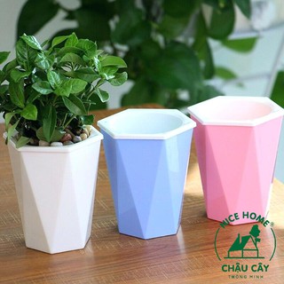 Chậu cây tự dưỡng thông minh - U03