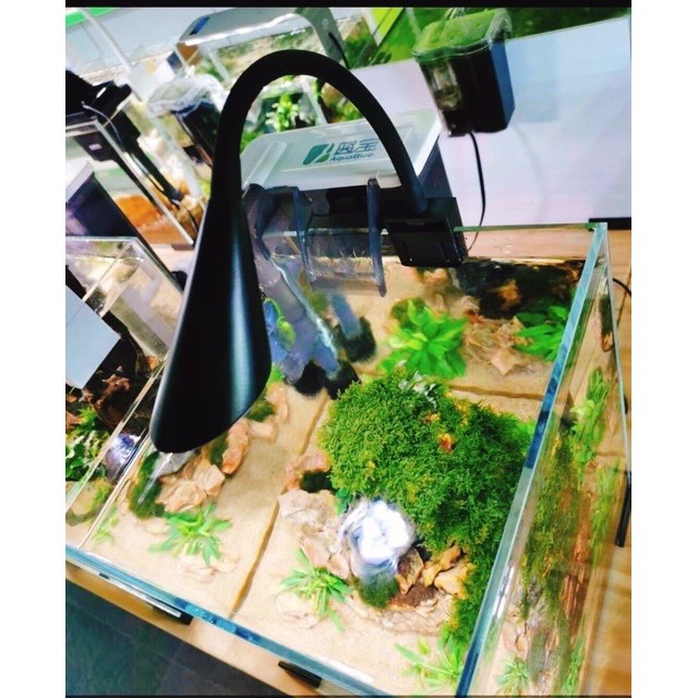 ĐÈN LED KẸP AQUABLUE CLIP LAMP SIÊU SÁNG DEE 6