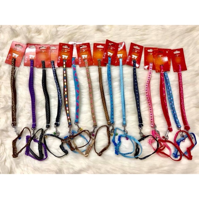 Vòng cổ kèm Dây dắt 💗