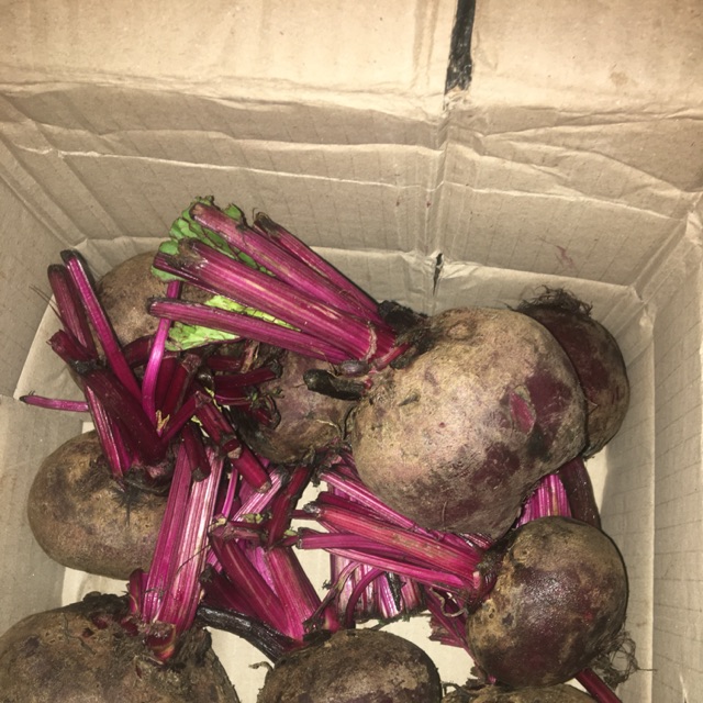 Củ dền đỏ 89k/2 kg-hỗ trợ ship đơn từ 50k