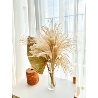 bình thủy tinh và cọ ,sậy mini - HÌNH CHỤP THẬT