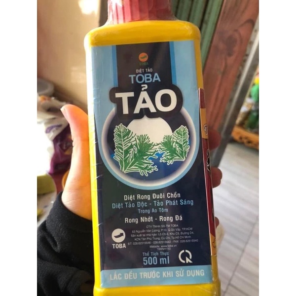 Diệt tảo Toba - Tảo - Diệt rong đuôi chồn, diệt tảo độc, tảo phát sáng, rong nhớt, rong đá.