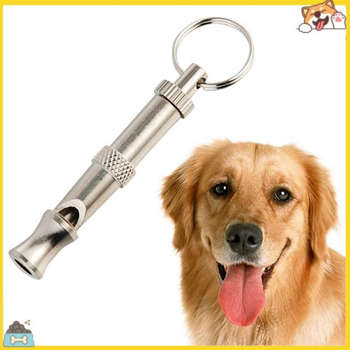 Còi huấn luyện chó bằng sóng siêu âm tiện dụng