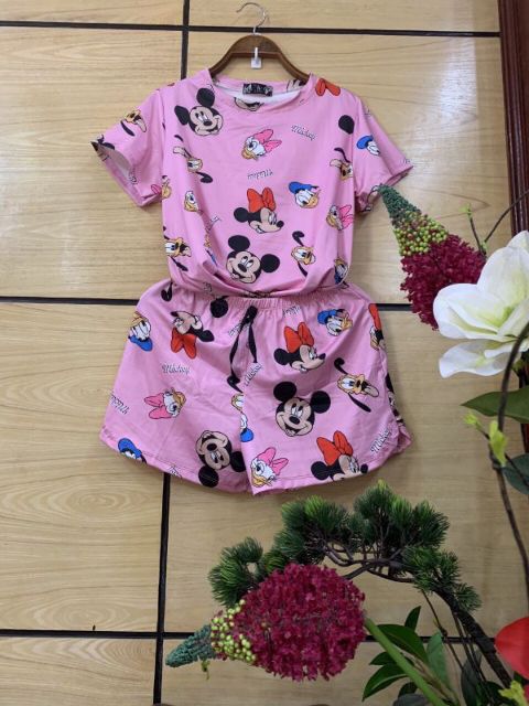 Bộ Thun Lạnh 3 D Quảng Châu