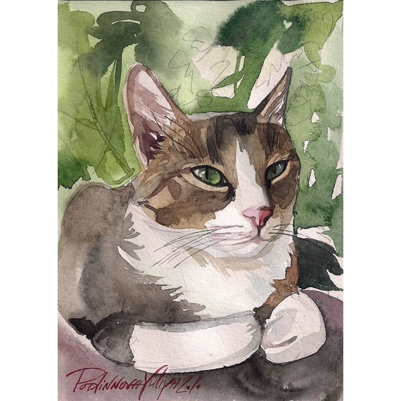 Bộ tranh đính đá 5D họa tiết chú mèo độc đáo kích thước 30x40cm DIY dùng trang trí