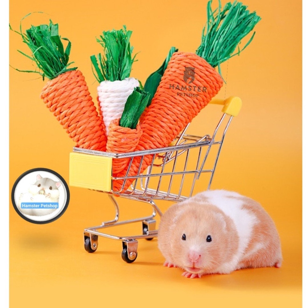 Cà rốt mài răng và trang trí chuồng cho Hamster