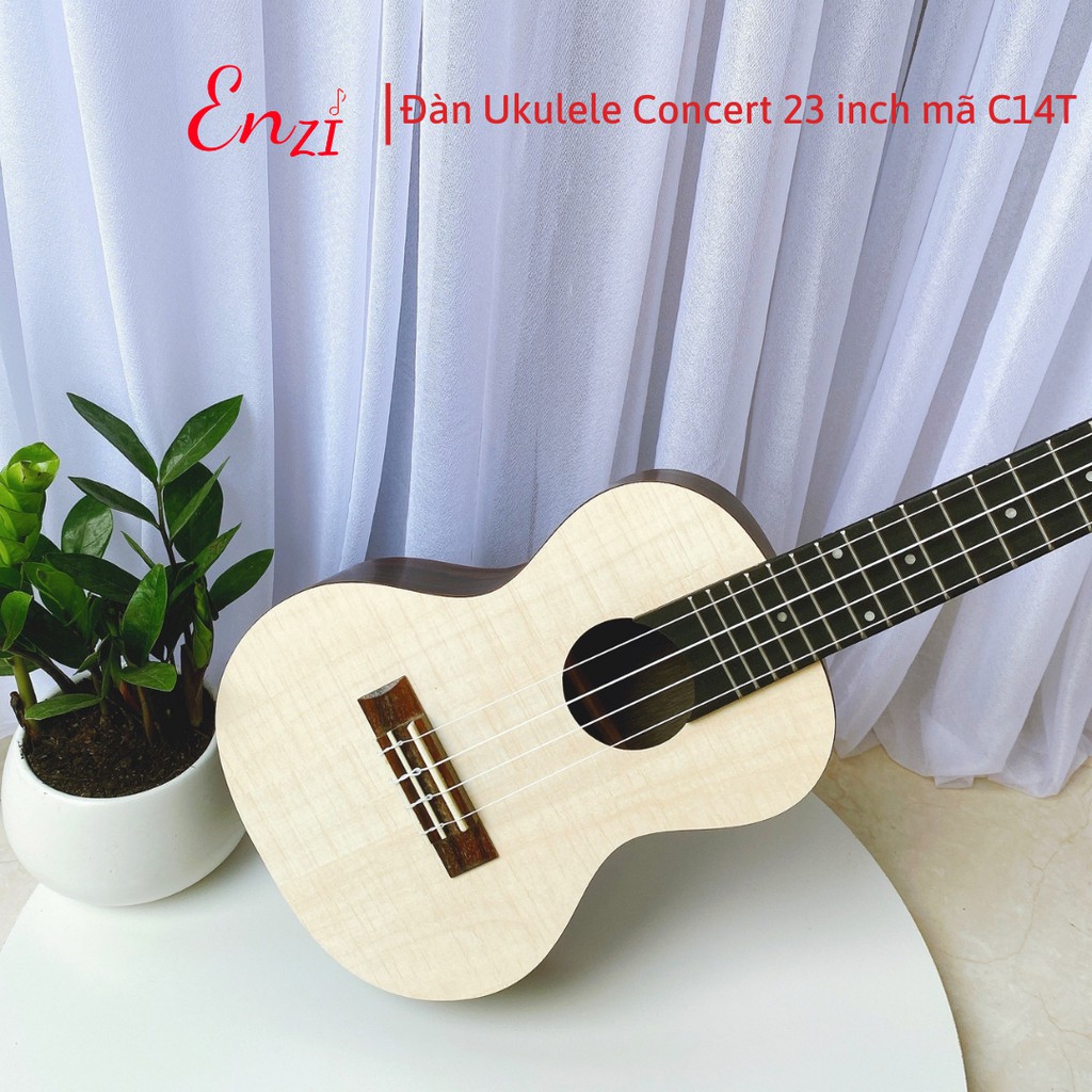 Đàn ukulele concert Enzi C11D màu gỗ phong cách cổ điển, âm thanh vang sáng giá rẻ chất lượng