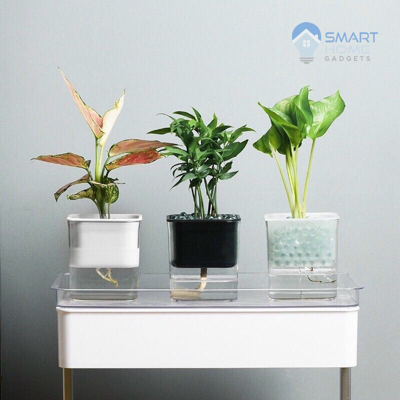 Chậu Cây Mini Trang Trí Bàn Làm Việc - Lọ Trồng Cây Thủy Sinh Tự Tưới Nước Mini Decor Bàn Học Bàn Làm Việc