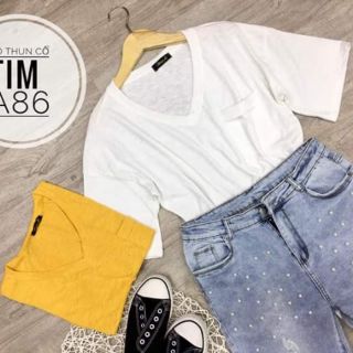 ÁO THUN BIGSIZE CỔ TIM XẺ TÀ A86