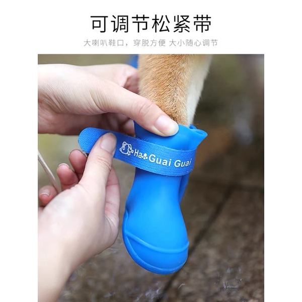 Giày ủng đi mưa cho chó mèo