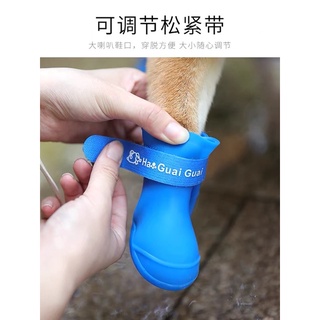Giày ủng đi mưa cho chó mèo 🐶🐱