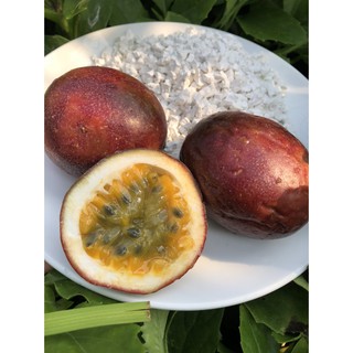 Tinh bột sắn dây chanh leo 500gr