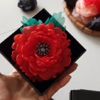 Hộp đựng cài áo