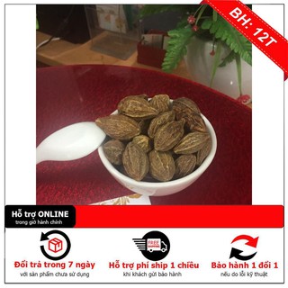 QUẢ KHA TỬ 100g  - Hàng Phơi Khô Tự Nhiên