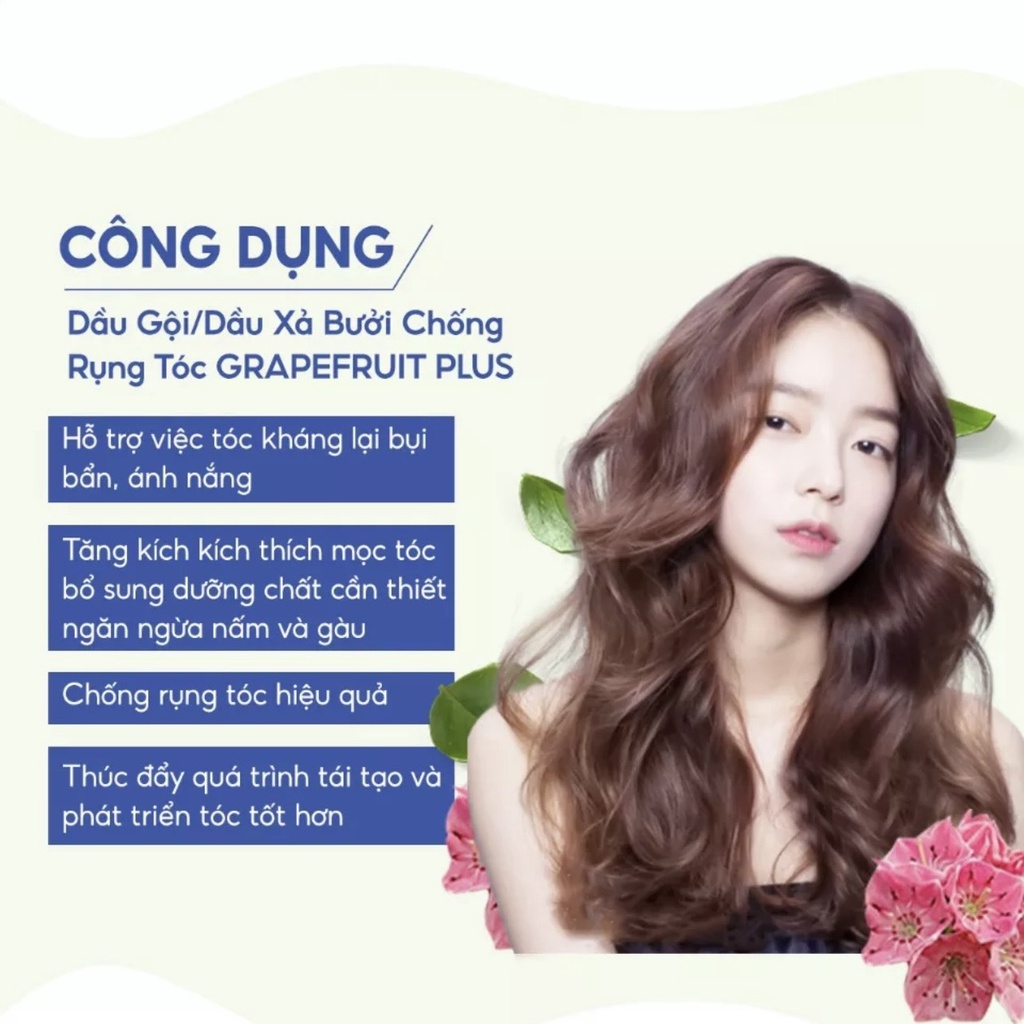 Bộ sản phẩm dầu gội xả, kem ủ tóc phục hồi chống rụng bưởi VALERT GRAPEFRUIT 15ml