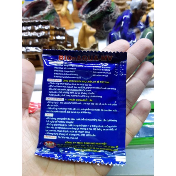 Men vi sinh Mai Việt