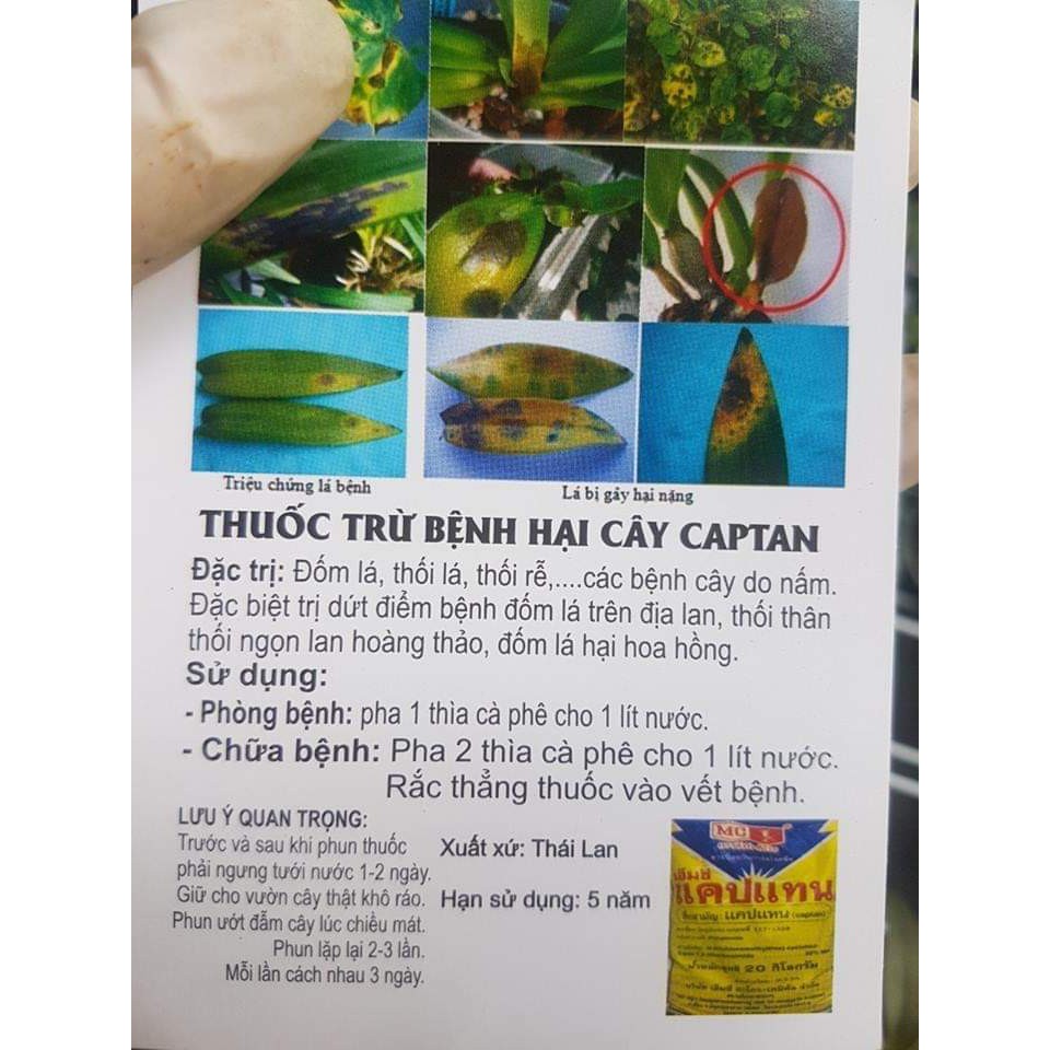 [FREESHIP TỪ 50K] THUỐC TRỪ BỆNH HẠI CÂY CAPTAN lọ 50g