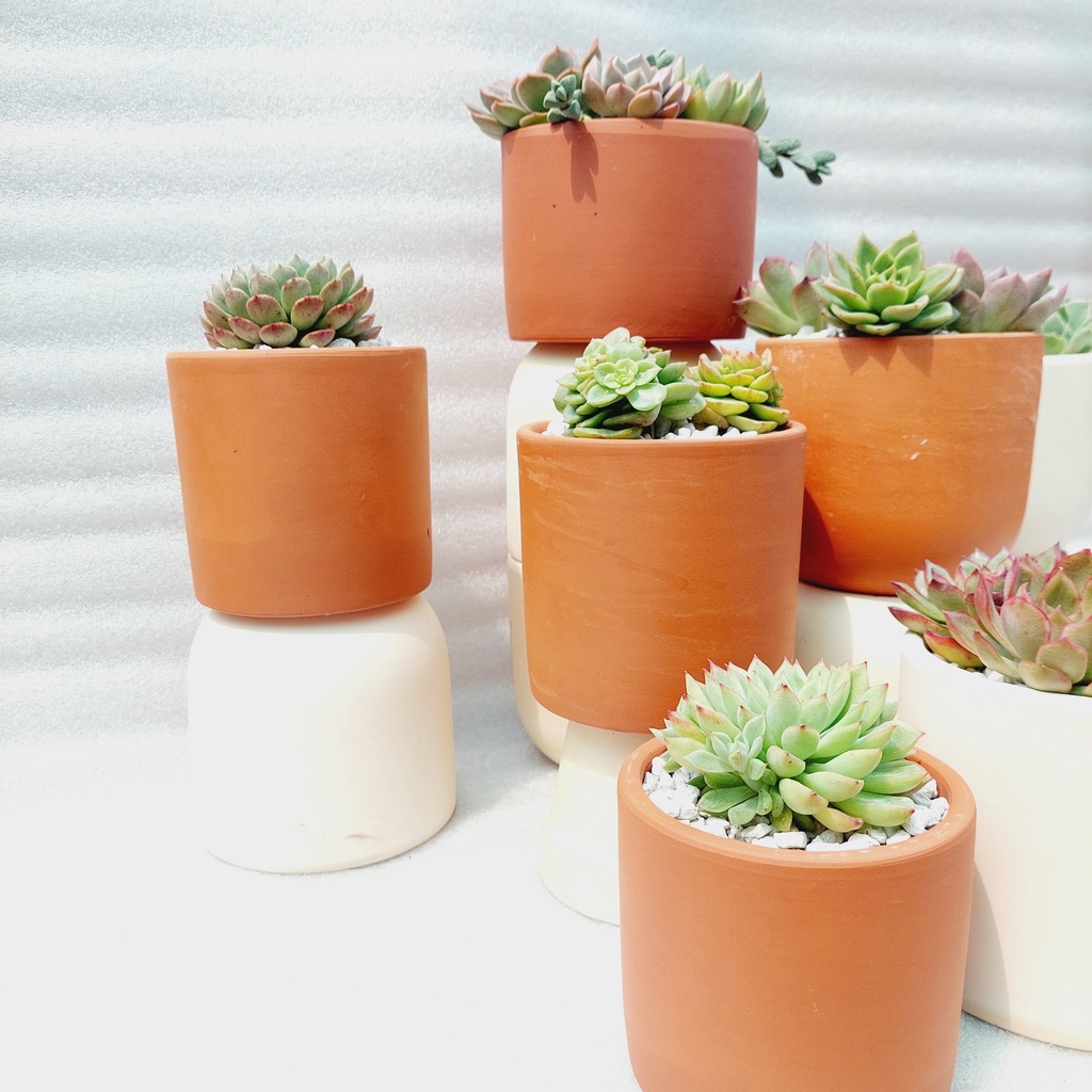 Chậu đất nung, Chậu sen đá - Trụ các kích thước từ 10cm đến 12cm