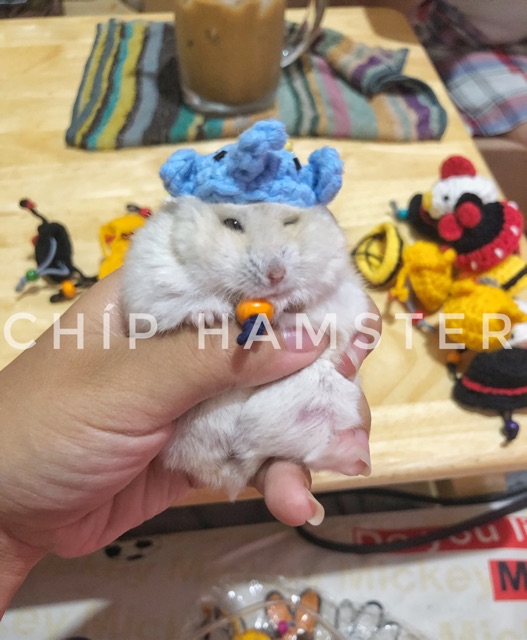 Nón len chụp ảnh ✨