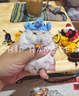 Nón len chụp ảnh ✨