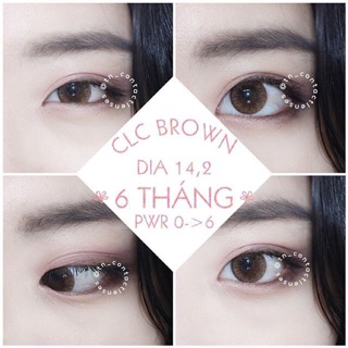 Kính áp tròng CLC Brown 14.2