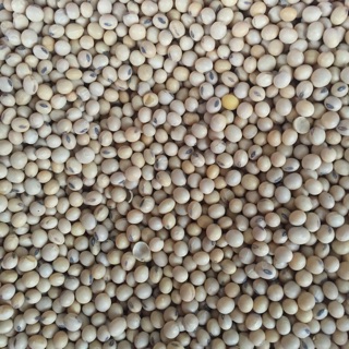 Đậu tương ( đậu nành ) 1kg