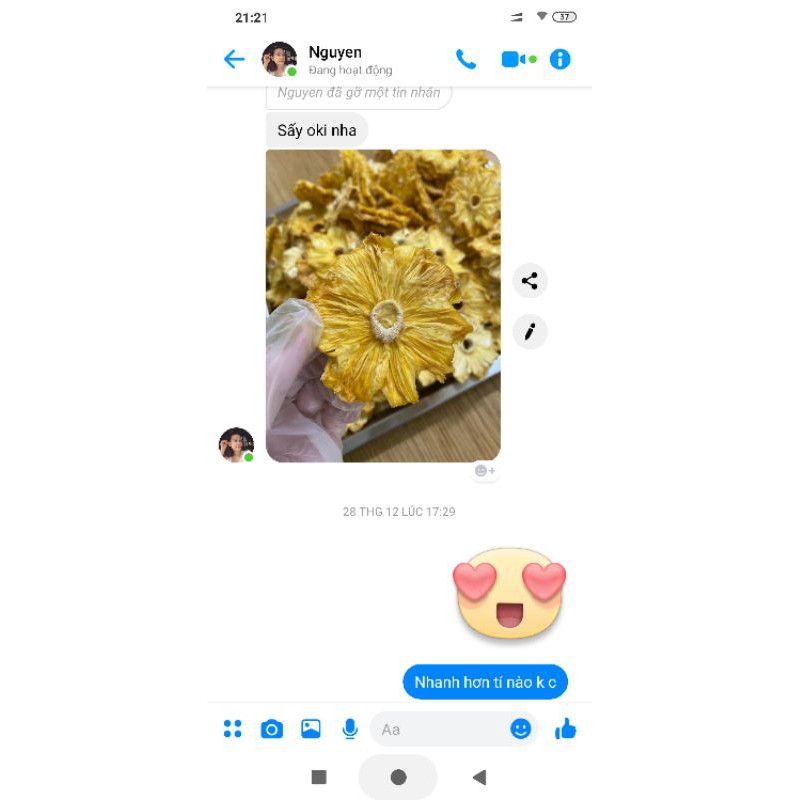 Máy sấy trái cây khô bò heo septree 10 tầng inox 304 khay 40*40cm