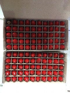 Bóng ông địa (50 cái )