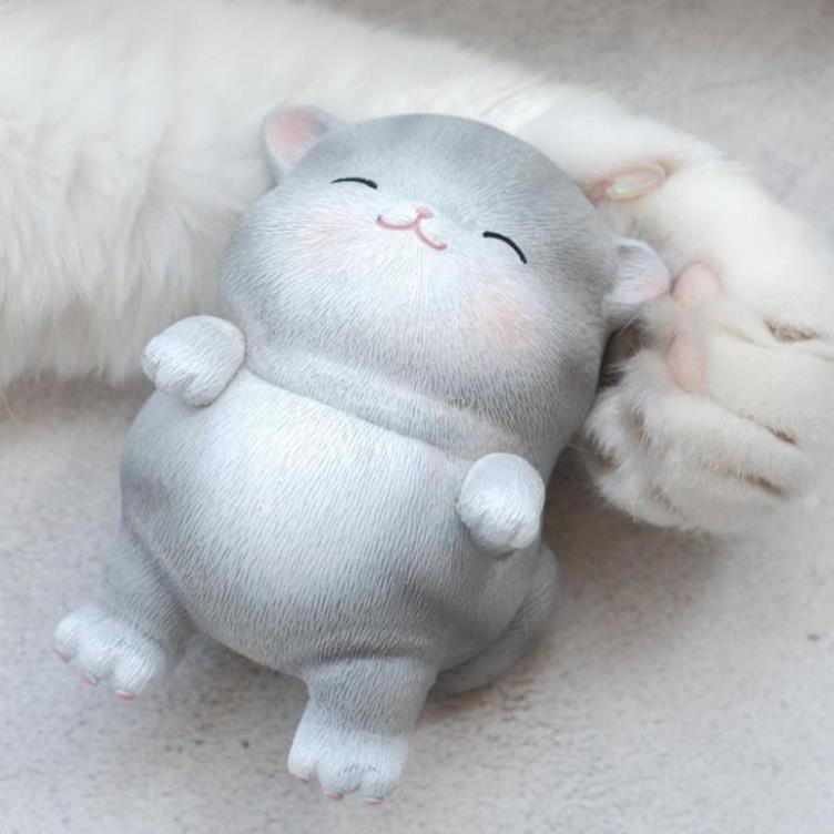 Mèo Nằm Ngồi Ngửa Biểu Cảm Dễ Thương Quà Sinh Nhật Trang Trí Lưu Niệm