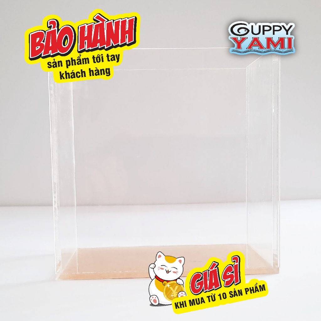 Hồ Show cá Guppy mica siêu trong - Bể Show cá Betta Acrylic - Keo Show cá Guppy, in tên theo yêu cầu giá xưởng 12x7x12