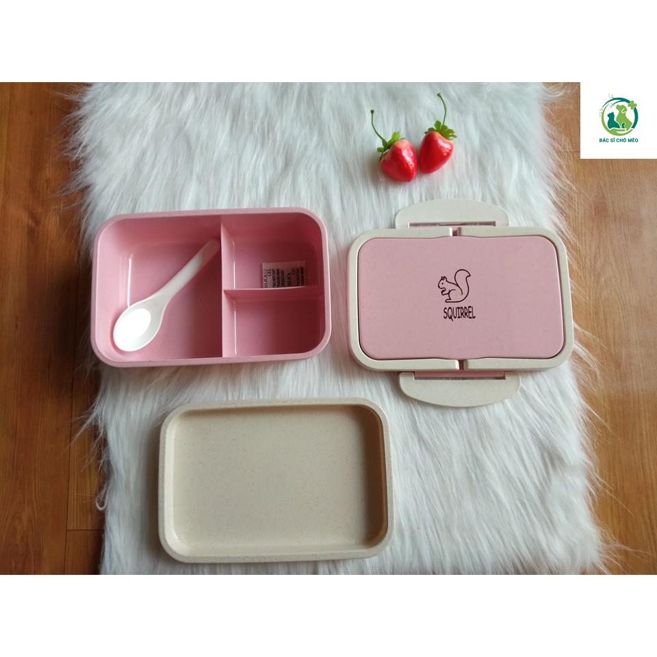 [HÌNH THẬT] Hộp cơm Văn Phòng Bento Hàn Quốc xinh xắn cam kết 100% y hình