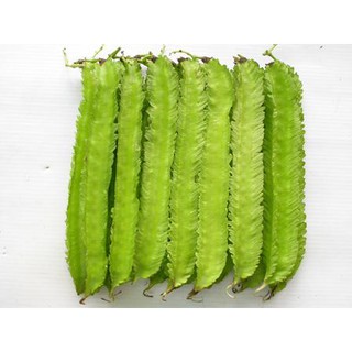 Đậu Rồng Cao Sản RĐ 02 - Rạng Đông