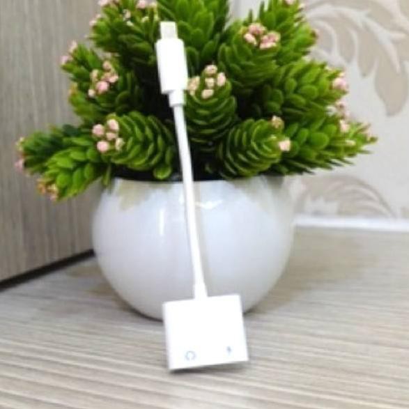 Đầu Nối Sạc Và Tai Nghe Cho Iphone 7, 8, X | BigBuy360 - bigbuy360.vn
