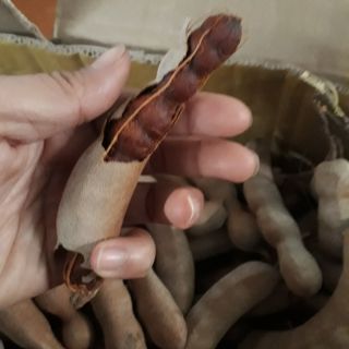 [FREESHIP 99K TOÀN QUỐC]Combo 5kg me chín daklak