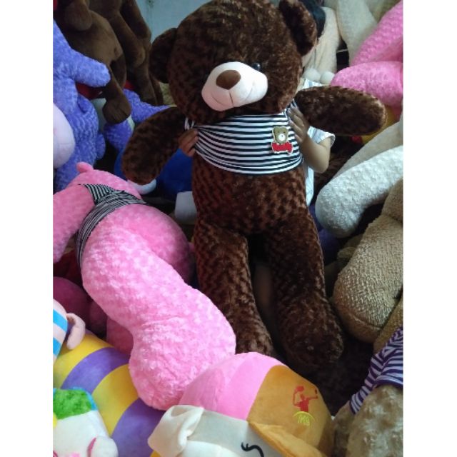 Gấu bông teddy